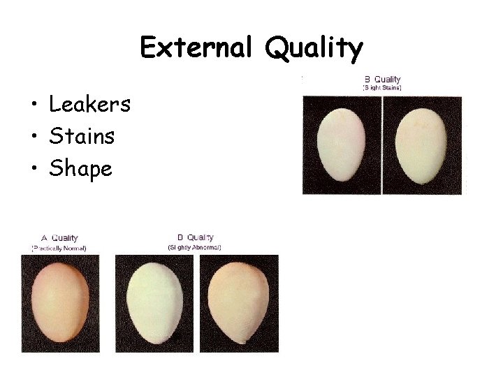 External Quality • Leakers • Stains • Shape External Quality • Leakers • Stains • Shape