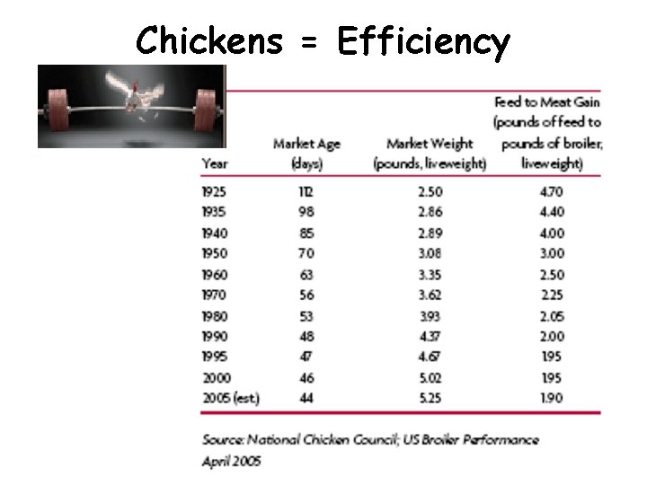 Chickens = Efficiency Chickens = Efficiency