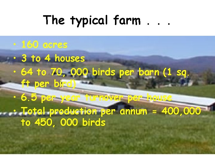 The typical farm. . . • 160 acres • 3 to 4 houses • The typical farm. . . • 160 acres • 3 to 4 houses •