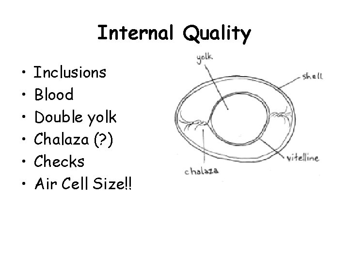 Internal Quality • • • Inclusions Blood Double yolk Chalaza (? ) Checks Air Internal Quality • • • Inclusions Blood Double yolk Chalaza (? ) Checks Air