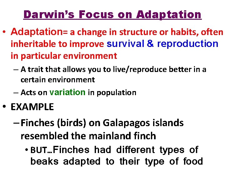 Darwin’s Focus on Adaptation • Adaptation= a change in structure or habits, often inheritable