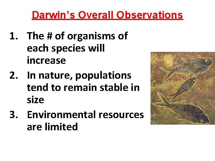 Darwin’s Overall Observations 1. The # of organisms of each species will increase 2.