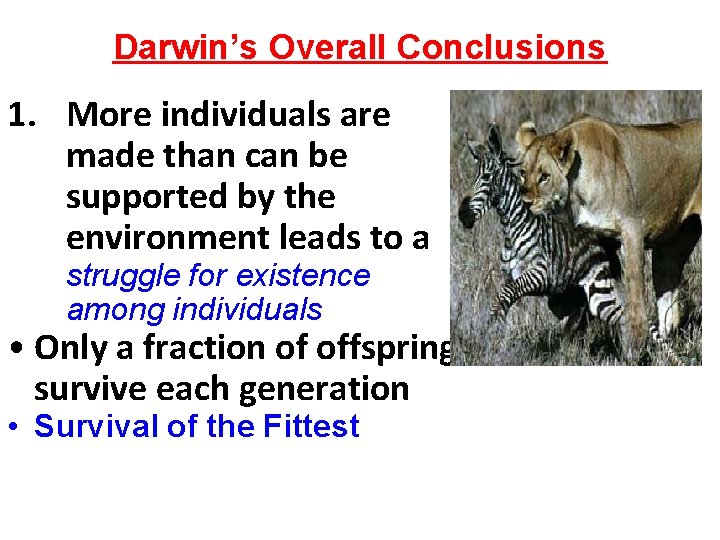 Darwin’s Overall Conclusions 1. More individuals are made than can be supported by the