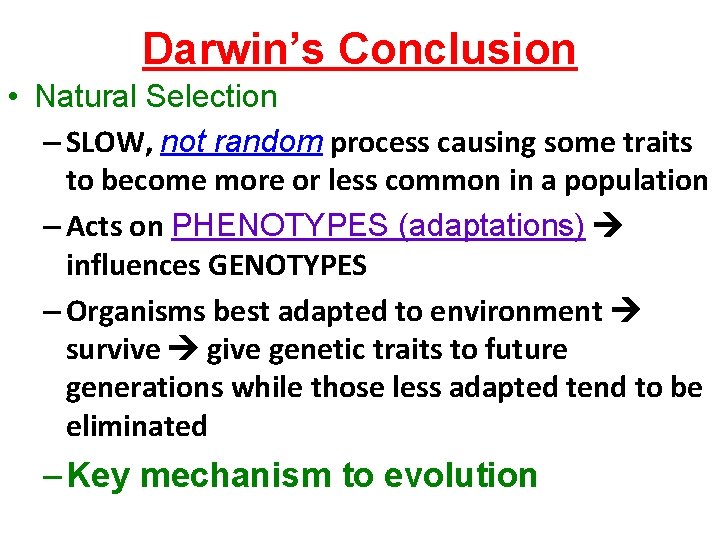 Darwin’s Conclusion • Natural Selection – SLOW, not random process causing some traits to