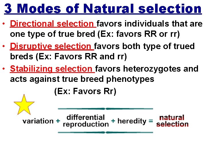 3 Modes of Natural selection • Directional selection favors individuals that are one type