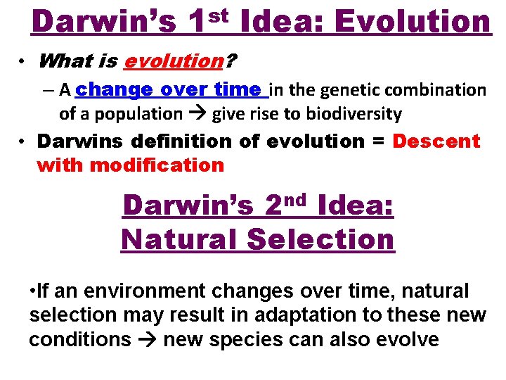 Darwin’s st 1 Idea: Evolution • What is evolution? – A change over time