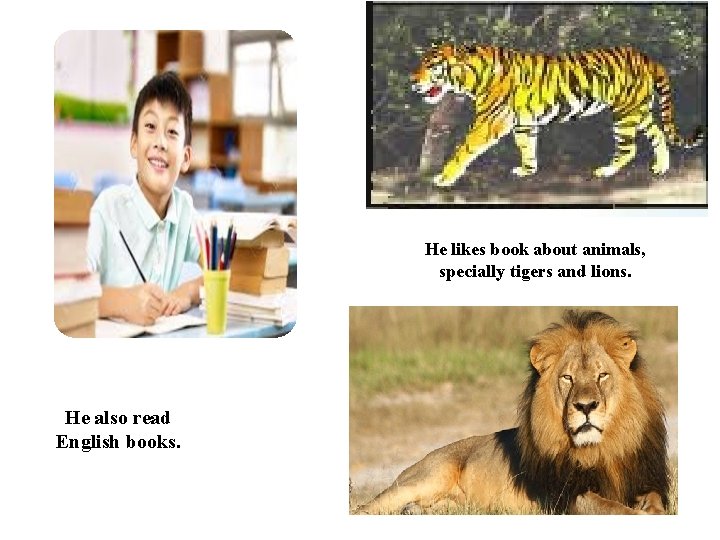 He likes book about animals, specially tigers and lions. He also read English books.