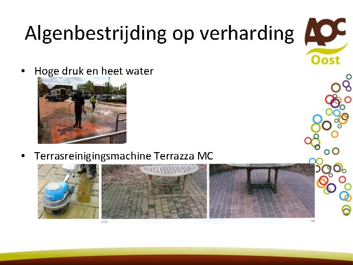 Algenbestrijding op verharding • Hoge druk en heet water • Terrasreinigingsmachine Terrazza MC Algenbestrijding op verharding • Hoge druk en heet water • Terrasreinigingsmachine Terrazza MC