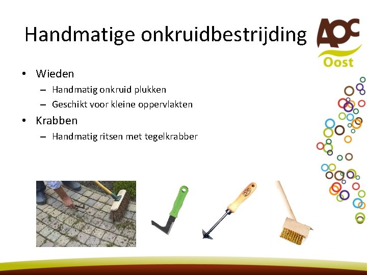 Handmatige onkruidbestrijding • Wieden – Handmatig onkruid plukken – Geschikt voor kleine oppervlakten • Handmatige onkruidbestrijding • Wieden – Handmatig onkruid plukken – Geschikt voor kleine oppervlakten •