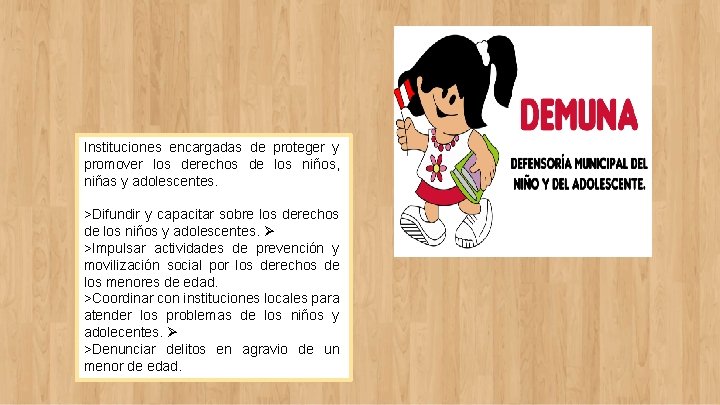 Instituciones encargadas de proteger y promover los derechos de los niños, niñas y adolescentes.