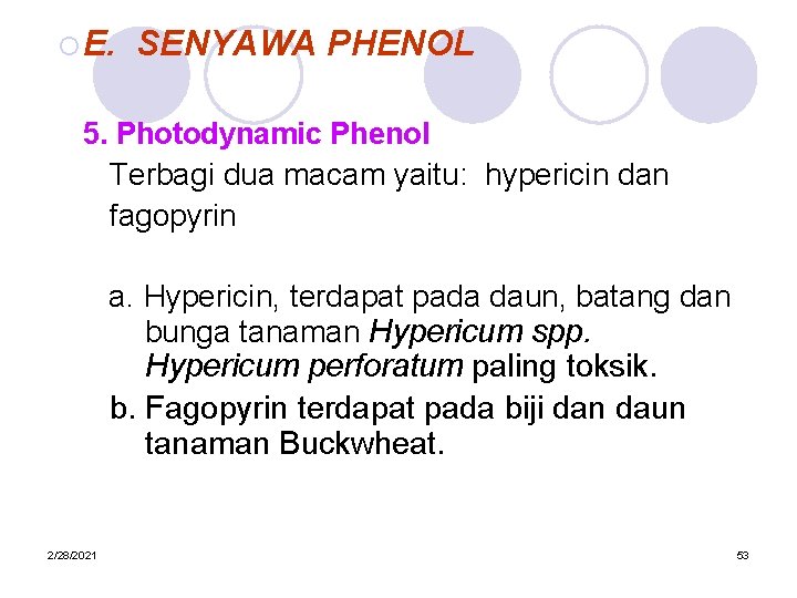 ¡ E. SENYAWA PHENOL 5. Photodynamic Phenol Terbagi dua macam yaitu: hypericin dan fagopyrin