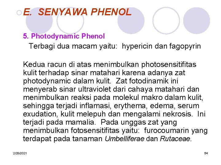 ¡ E. SENYAWA PHENOL 5. Photodynamic Phenol Terbagi dua macam yaitu: hypericin dan fagopyrin