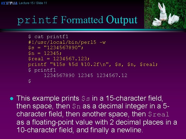 Lecture 15 / Slide 11 printf Formatted Output $ cat printf 1 #!/usr/local/bin/perl 5 Lecture 15 / Slide 11 printf Formatted Output $ cat printf 1 #!/usr/local/bin/perl 5