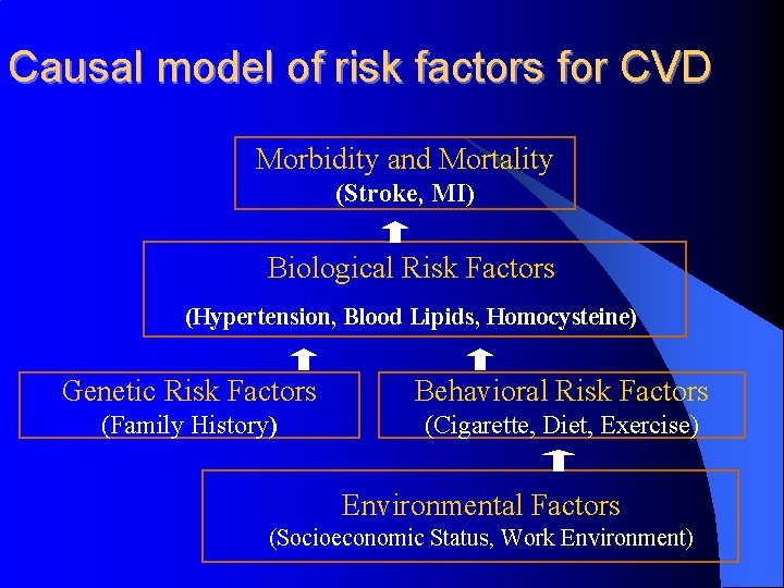 Causal model of risk factors for CVD Morbidity and Mortality (Stroke, MI) Biological Risk