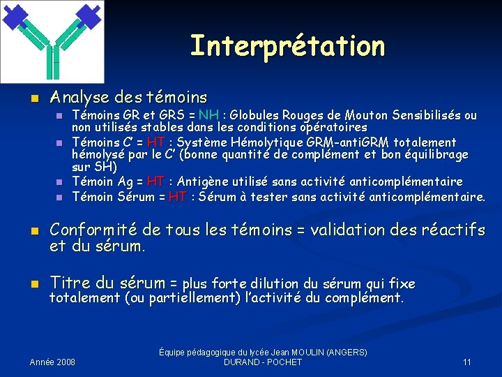 Interprétation n Analyse des témoins n n Témoins GR et GRS = NH :