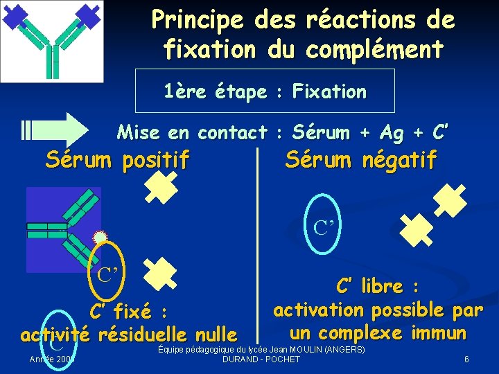 Principe des fixation du réactions de complément 1ère étape : Fixation Mise en contact Principe des fixation du réactions de complément 1ère étape : Fixation Mise en contact