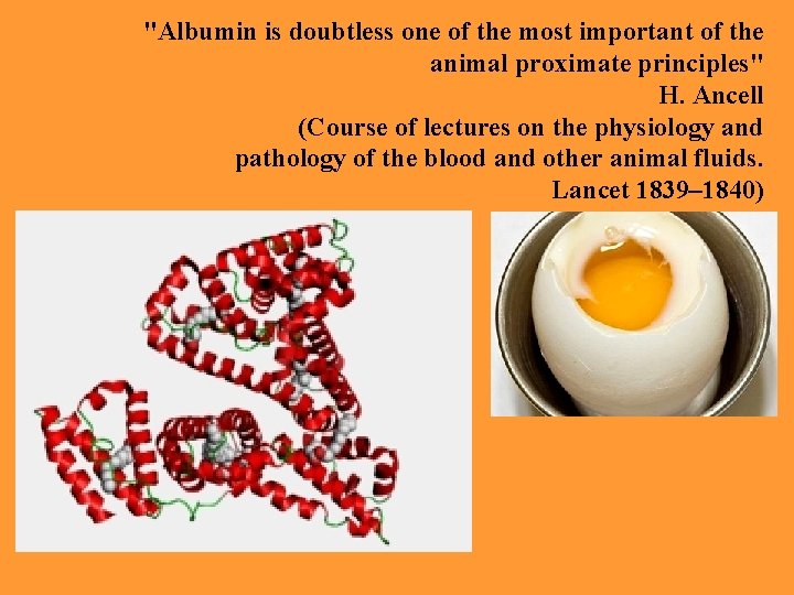 "Albumin is doubtless one of the most important of the animal proximate principles" H.