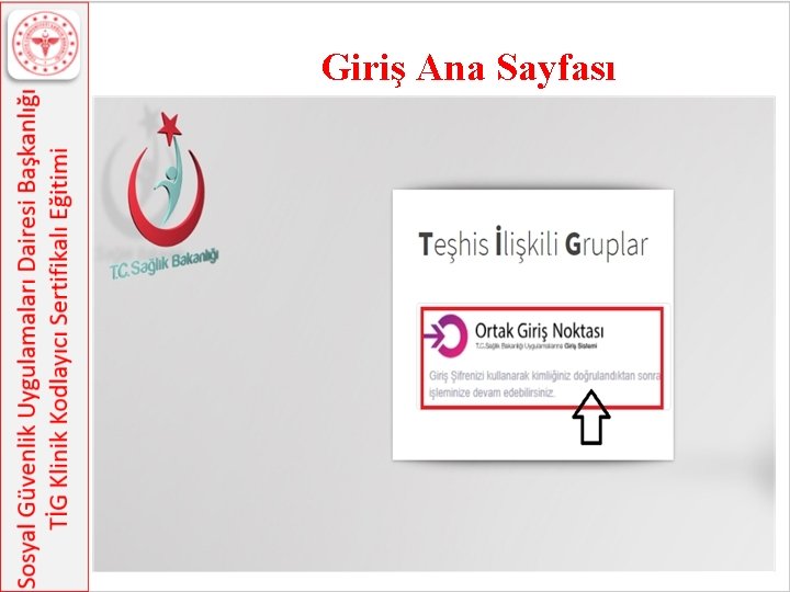 Giriş Ana Sayfası 139 