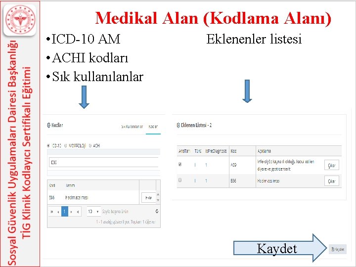 Medikal Alan (Kodlama Alanı) • ICD-10 AM Eklenenler listesi • ACHI kodları • Sık