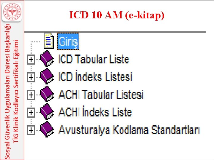 ICD 10 AM (e-kitap) 19 