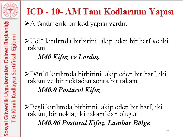 ICD - 10 - AM Tanı Kodlarının Yapısı ØAlfanümerik bir kod yapısı vardır. ØÜçlü ICD - 10 - AM Tanı Kodlarının Yapısı ØAlfanümerik bir kod yapısı vardır. ØÜçlü
