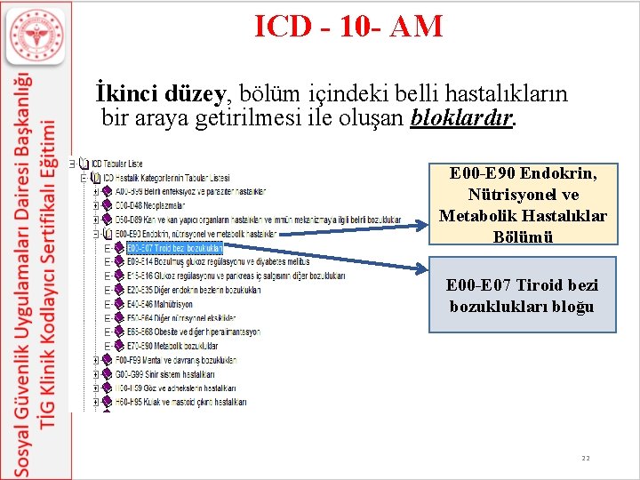 ICD - 10 - AM İkinci düzey, bölüm içindeki belli hastalıkların bir araya getirilmesi