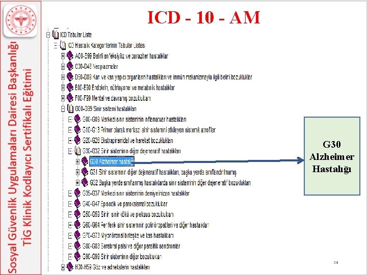 ICD - 10 - AM G 30 Alzheimer Hastalığı 24 ICD - 10 - AM G 30 Alzheimer Hastalığı 24