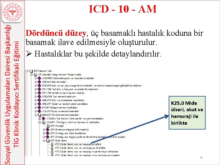 ICD - 10 - AM Dördüncü düzey, üç basamaklı hastalık koduna bir basamak ilave