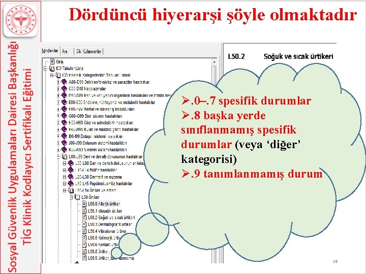 Dördüncü hiyerarşi şöyle olmaktadır Ø. 0–. 7 spesifik durumlar Ø. 8 başka yerde sınıflanmamış