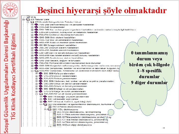 Beşinci hiyerarşi şöyle olmaktadır 0 tanımlanmamış durum veya birden çok bölgede 1– 8 spesifik