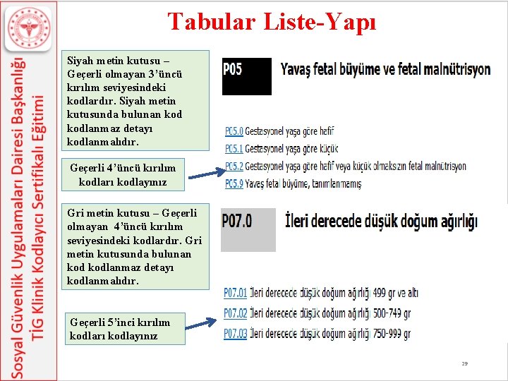 Tabular Liste-Yapı Siyah metin kutusu – Geçerli olmayan 3’üncü kırılım seviyesindeki kodlardır. Siyah metin Tabular Liste-Yapı Siyah metin kutusu – Geçerli olmayan 3’üncü kırılım seviyesindeki kodlardır. Siyah metin