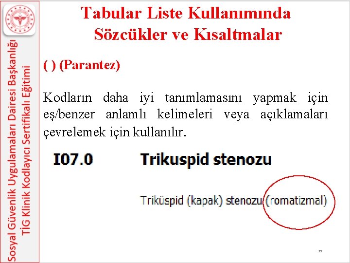 Tabular Liste Kullanımında Sözcükler ve Kısaltmalar ( ) (Parantez) Kodların daha iyi tanımlamasını yapmak