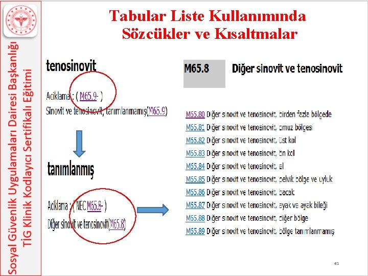 Tabular Liste Kullanımında Sözcükler ve Kısaltmalar 41 