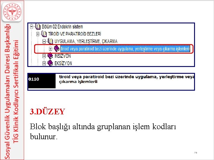 3. DÜZEY Blok başlığı altında gruplanan işlem kodları bulunur. 75 