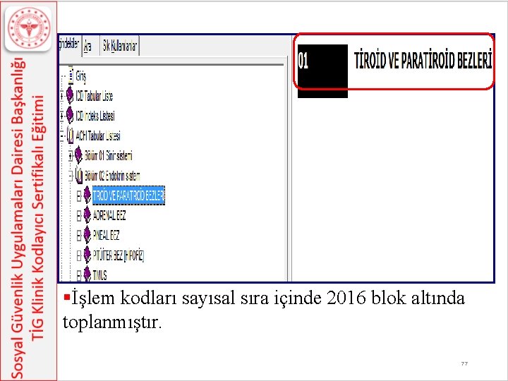 §İşlem kodları sayısal sıra içinde 2016 blok altında toplanmıştır. 77 