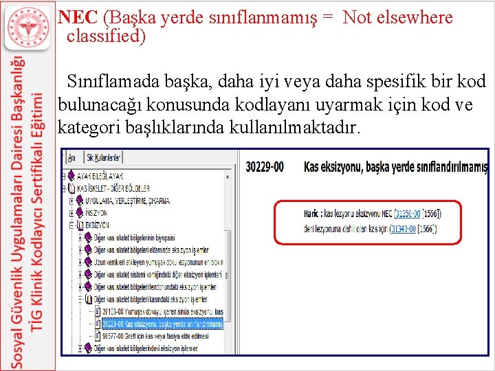 NEC (Başka yerde sınıflanmamış = Not elsewhere classified) Sınıflamada başka, daha iyi veya daha