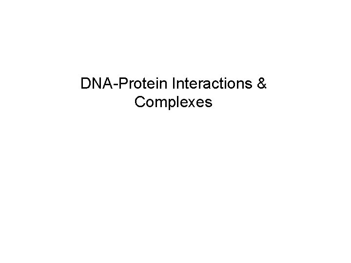 DNA-Protein Interactions & Complexes 