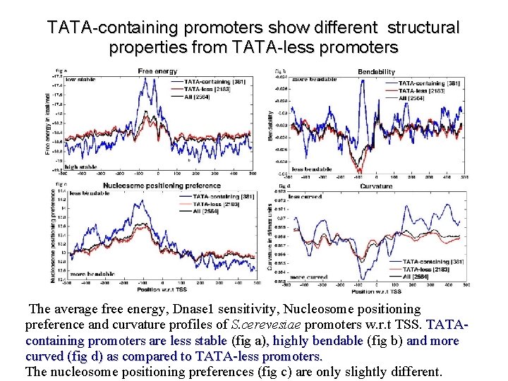 TATA-containing promoters show different structural properties from TATA-less promoters The average free energy, Dnase