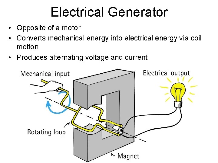 Electrical Generator • Opposite of a motor • Converts mechanical energy into electrical energy