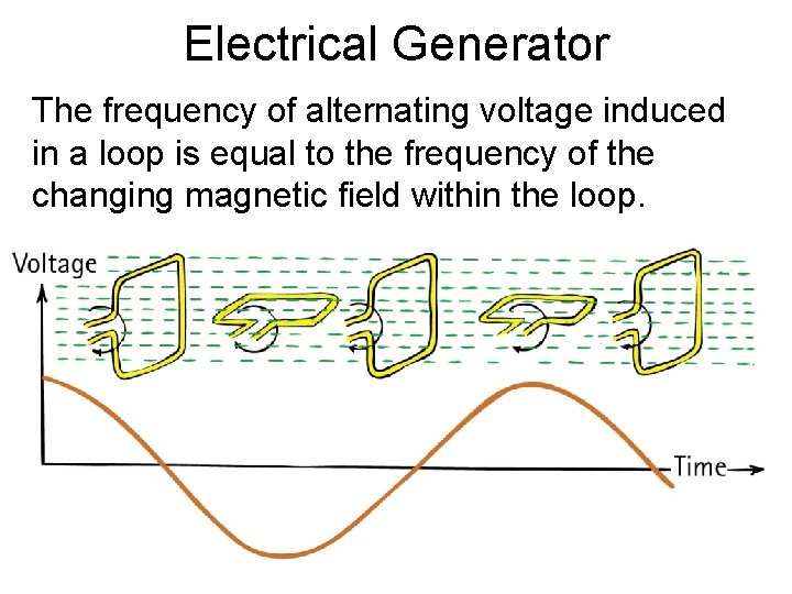 Electrical Generator The frequency of alternating voltage induced in a loop is equal to