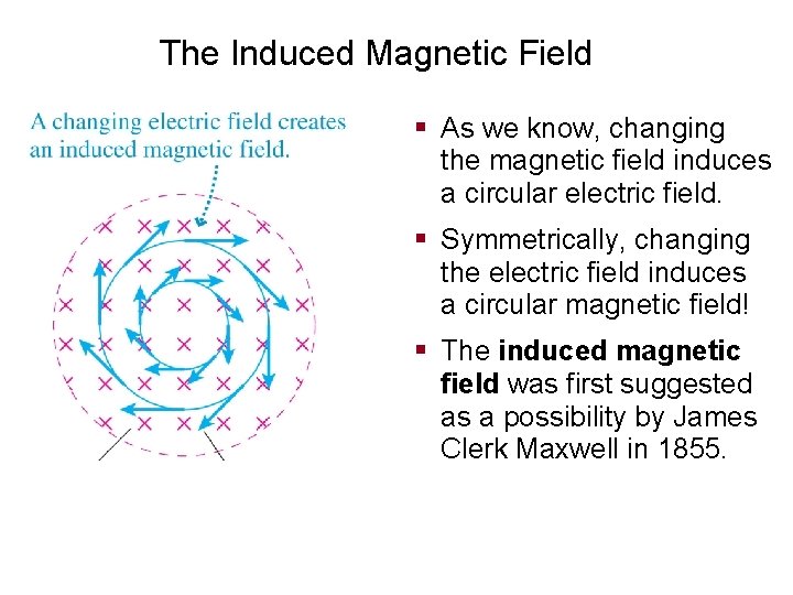 The Induced Magnetic Field § As we know, changing the magnetic field induces a