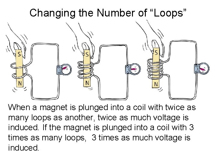 Changing the Number of “Loops” When a magnet is plunged into a coil with
