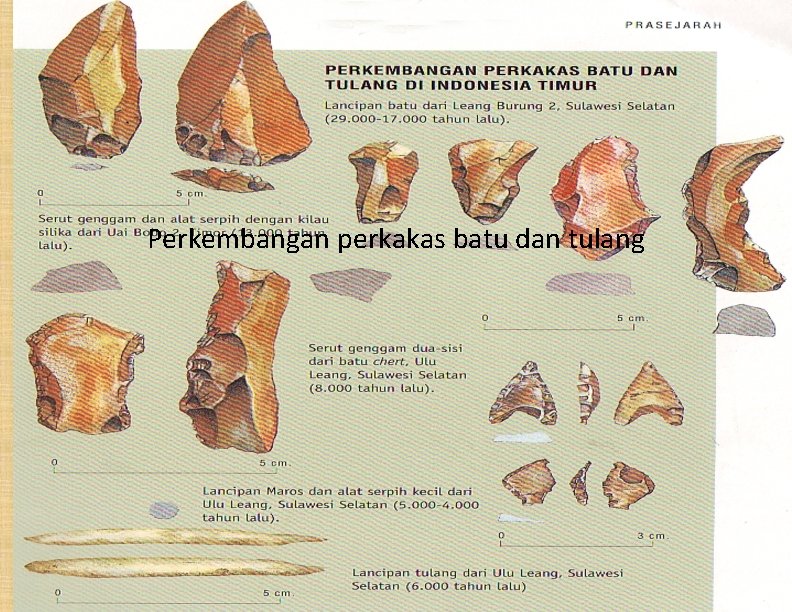 Perkembangan perkakas batu dan tulang 