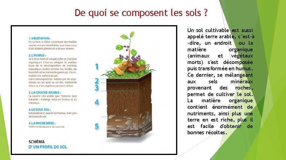 De quoi se composent les sols ? Un sol cultivable est aussi appelé terre