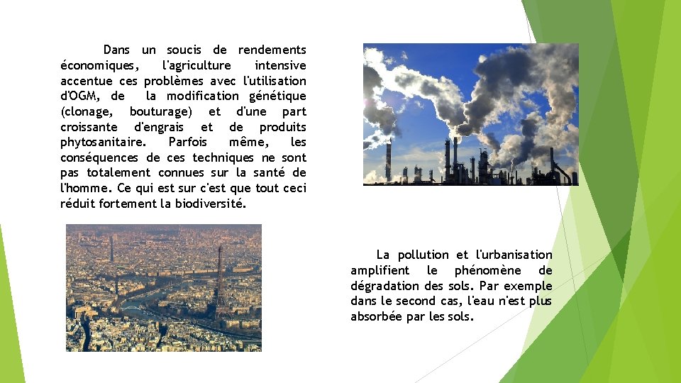 Dans un soucis de rendements économiques, l'agriculture intensive accentue ces problèmes avec l'utilisation d'OGM,