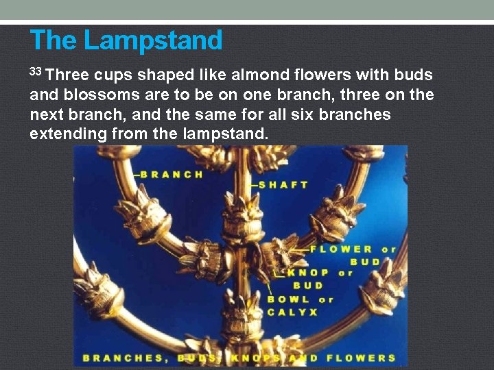 The Lampstand 33 Three cups shaped like almond flowers with buds and blossoms are