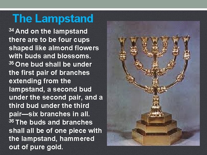 The Lampstand 34 And on the lampstand there are to be four cups shaped