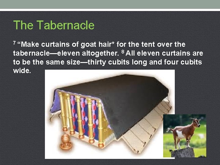 The Tabernacle 7 “Make curtains of goat hair* for the tent over the tabernacle—eleven