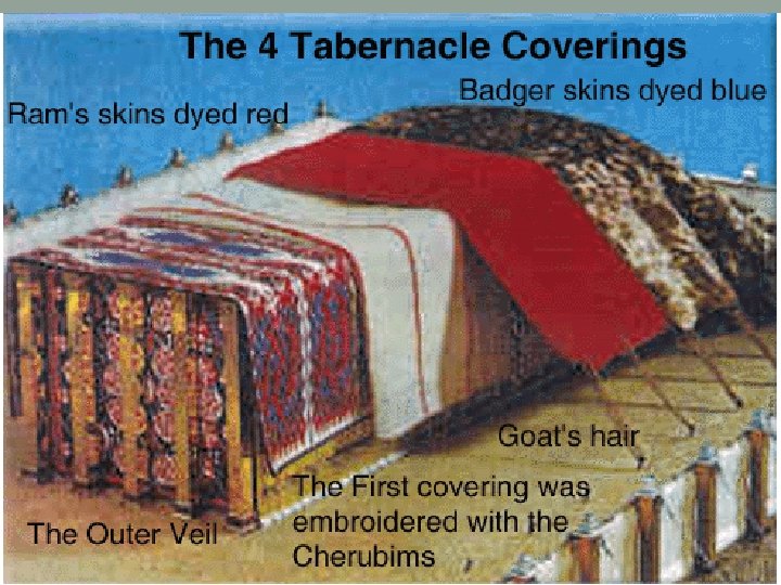 The Tabernacle 13 The tent curtains will be a cubit longer on both sides;