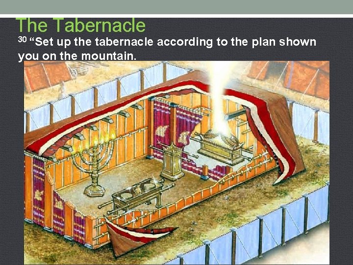 The Tabernacle 30 “Set up the tabernacle according to the plan shown you on